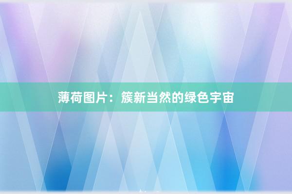 薄荷图片：簇新当然的绿色宇宙
