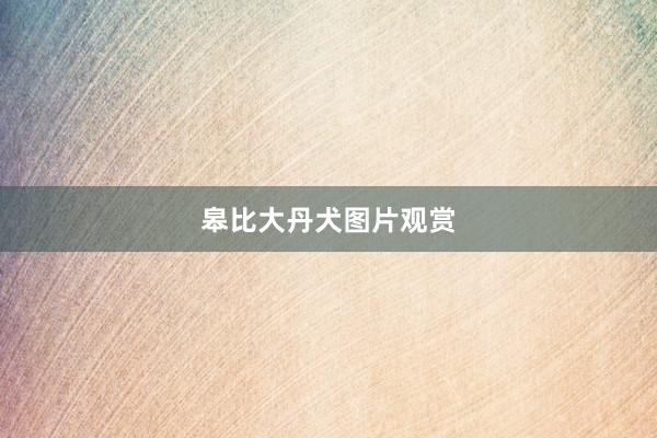 皋比大丹犬图片观赏